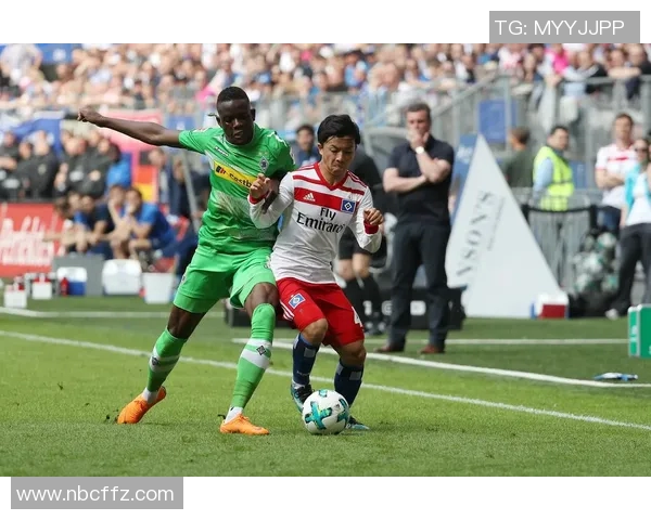 汉堡队与门兴队精彩对决回顾赛场瞬间尽在掌握之中